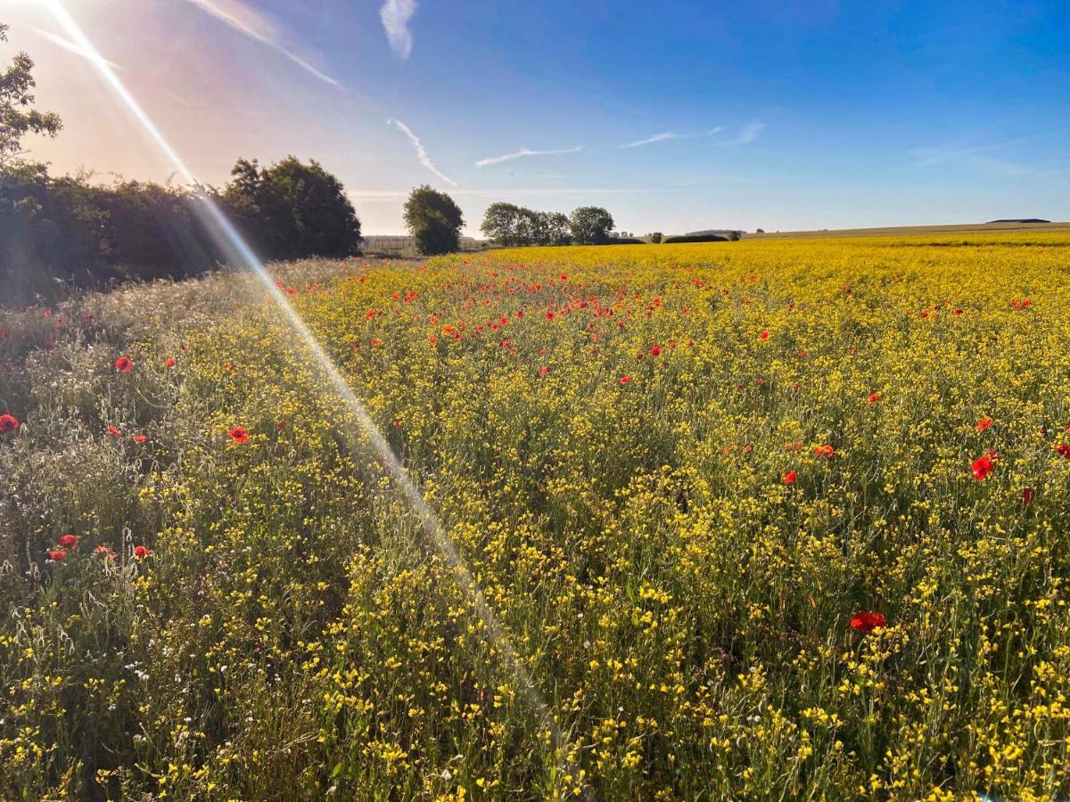 Sunny Cottage Grantham Esterno foto